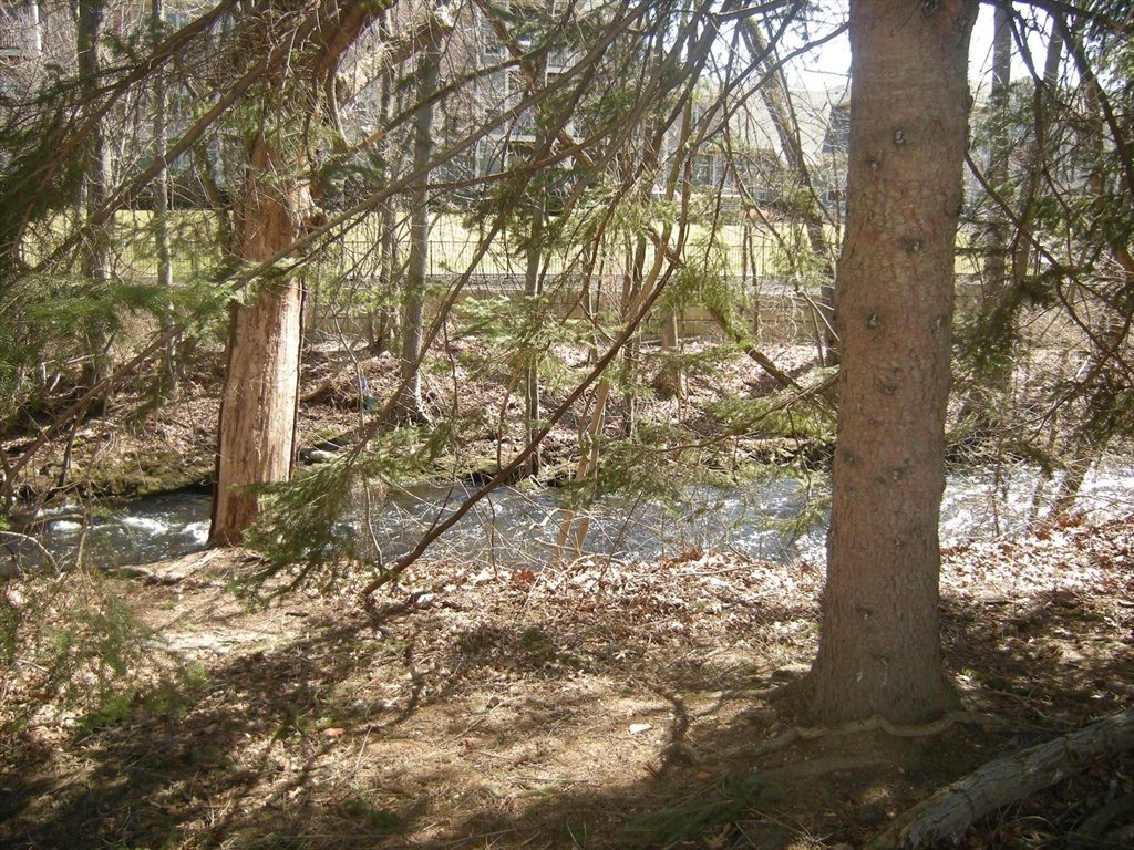 346 Neponset Street F