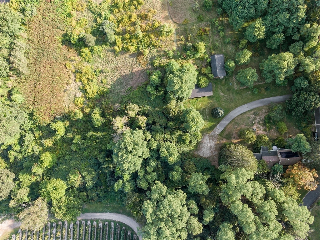 51 Farwell Rd