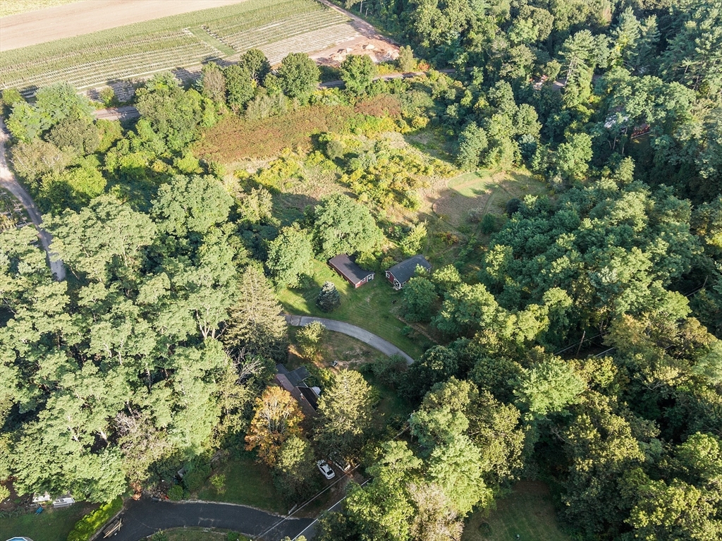 51 Farwell Rd