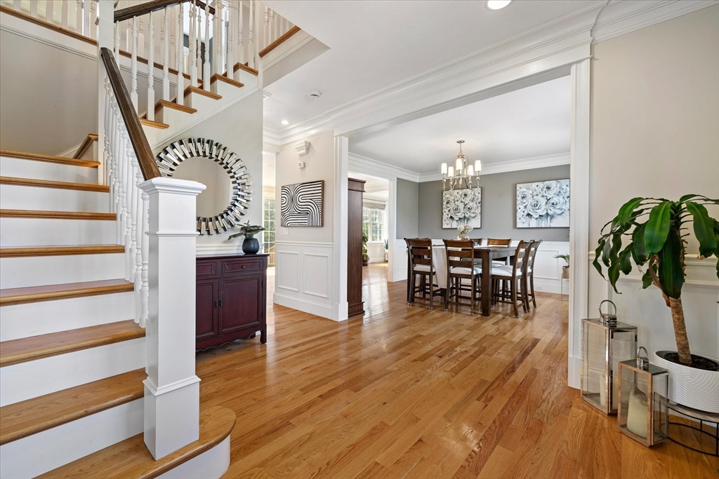 43 Appaloosa Dr