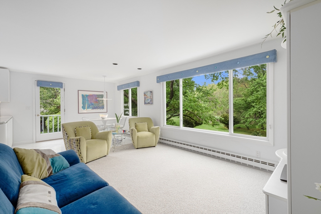 13 Angelica Dr