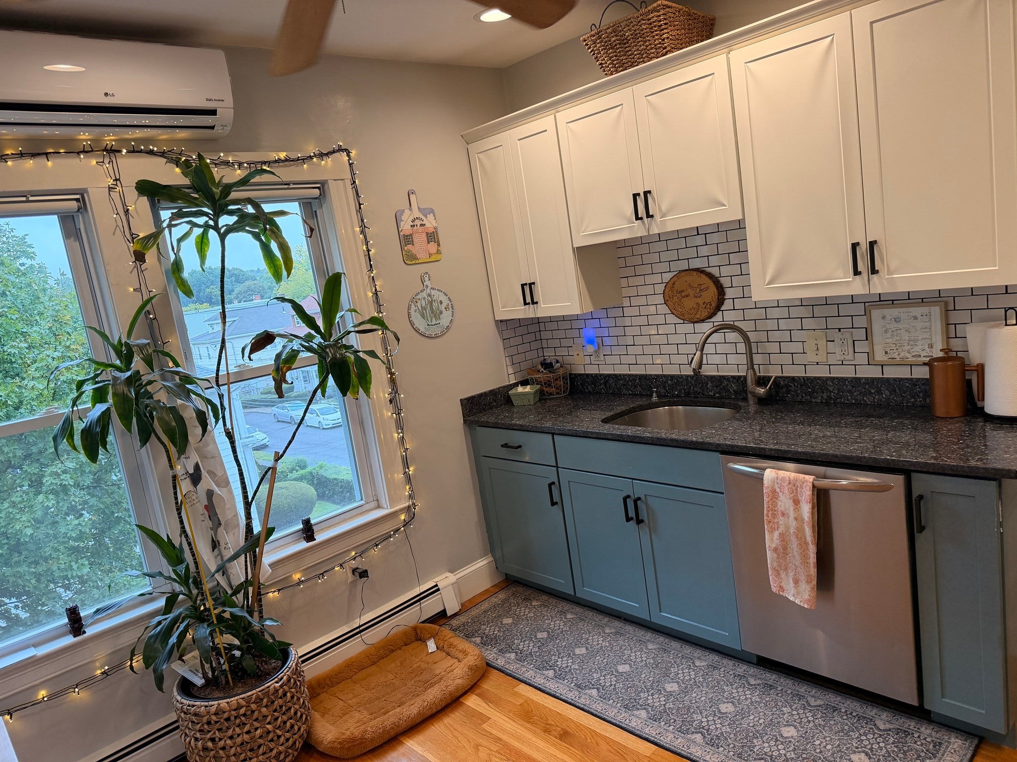 17 Wyvern St #3, Boston, MA, 17 Wyvern St #3, Boston, MA Photo #6