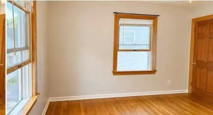 126 Albion ST #3, Somerville, MA Photo #5