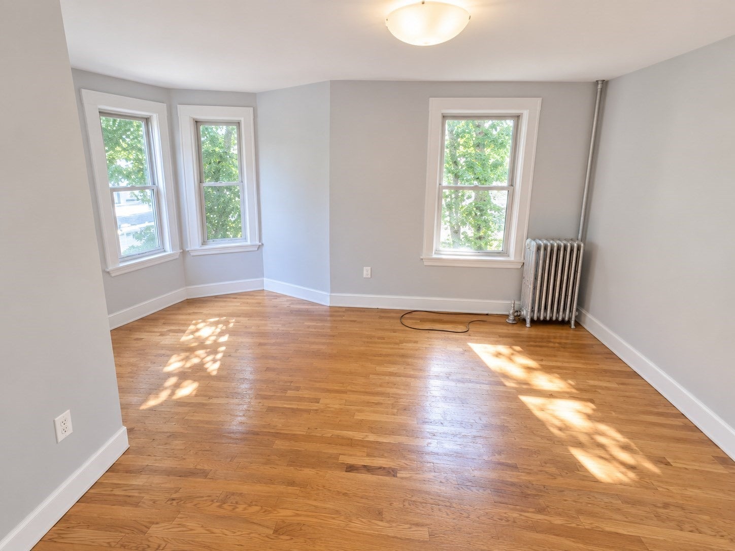 6 Lauriat Street #1, Boston, MA, 6 Lauriat Street #1, Boston, MA Photo #3