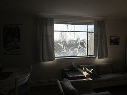 276 Mass Ave #203, Arlington, MA, 276 Mass Ave #203, Arlington, MA Photo #3