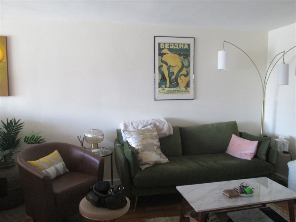 276 Mass Ave #203, Arlington, MA, 276 Mass Ave #203, Arlington, MA Photo #7