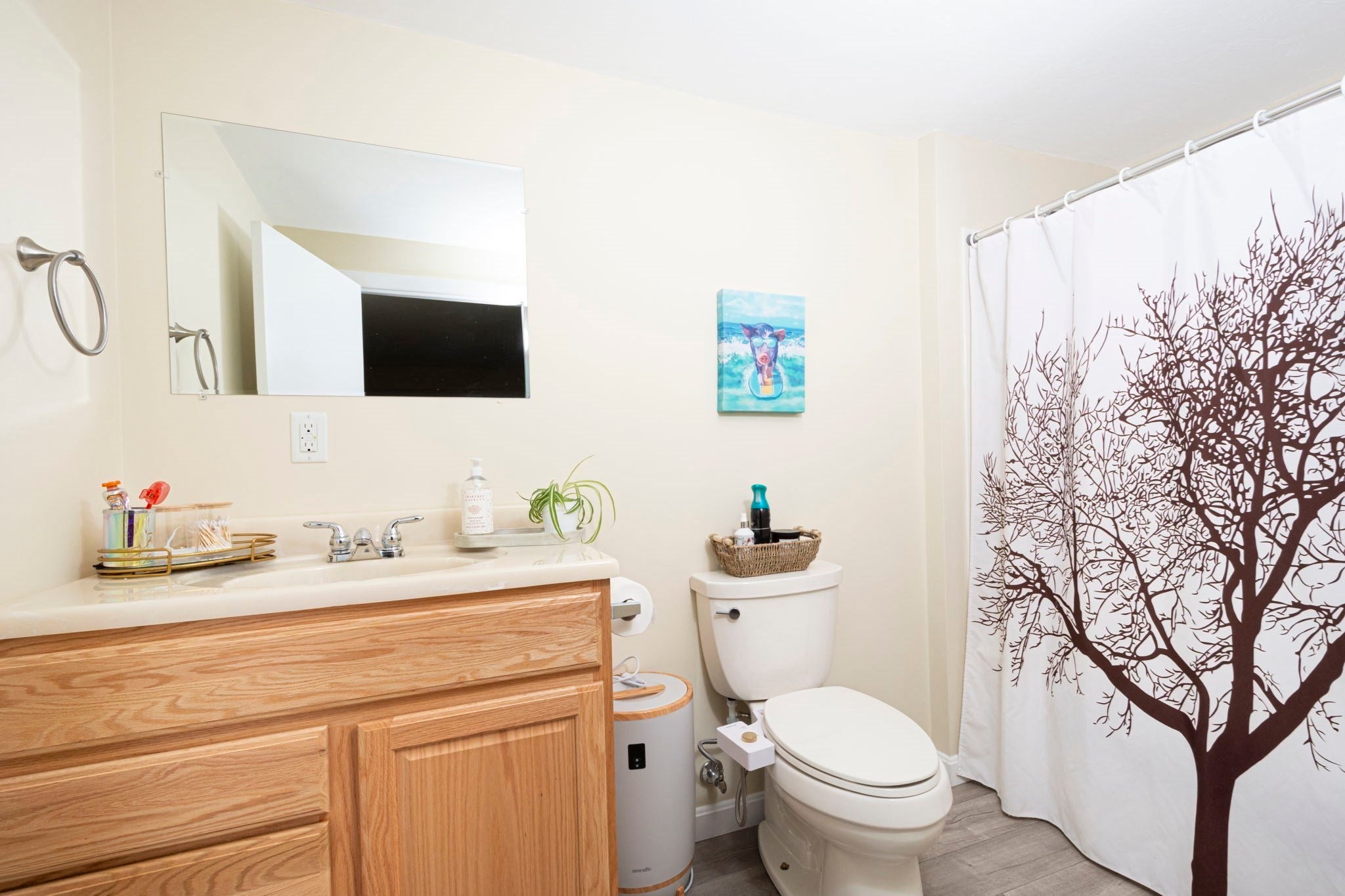 4 Carter Rd, Worcester, MA, 4 Carter Rd, Worcester, MA Photo #31