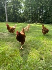 14 Lucas St, Carver, MA Photo #37