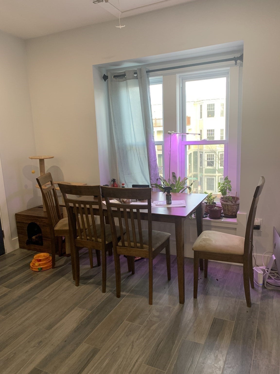 4045 Washington St #3, Boston, MA Photo #3