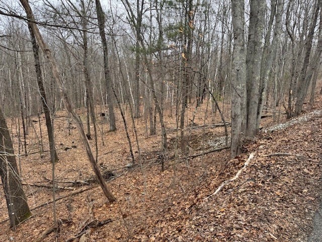 Lot 2 Gould Road