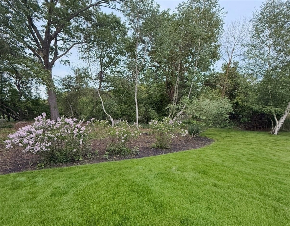 10 Friedenfels Street