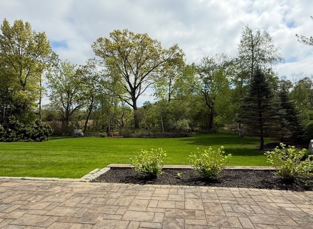 10 Friedenfels Street