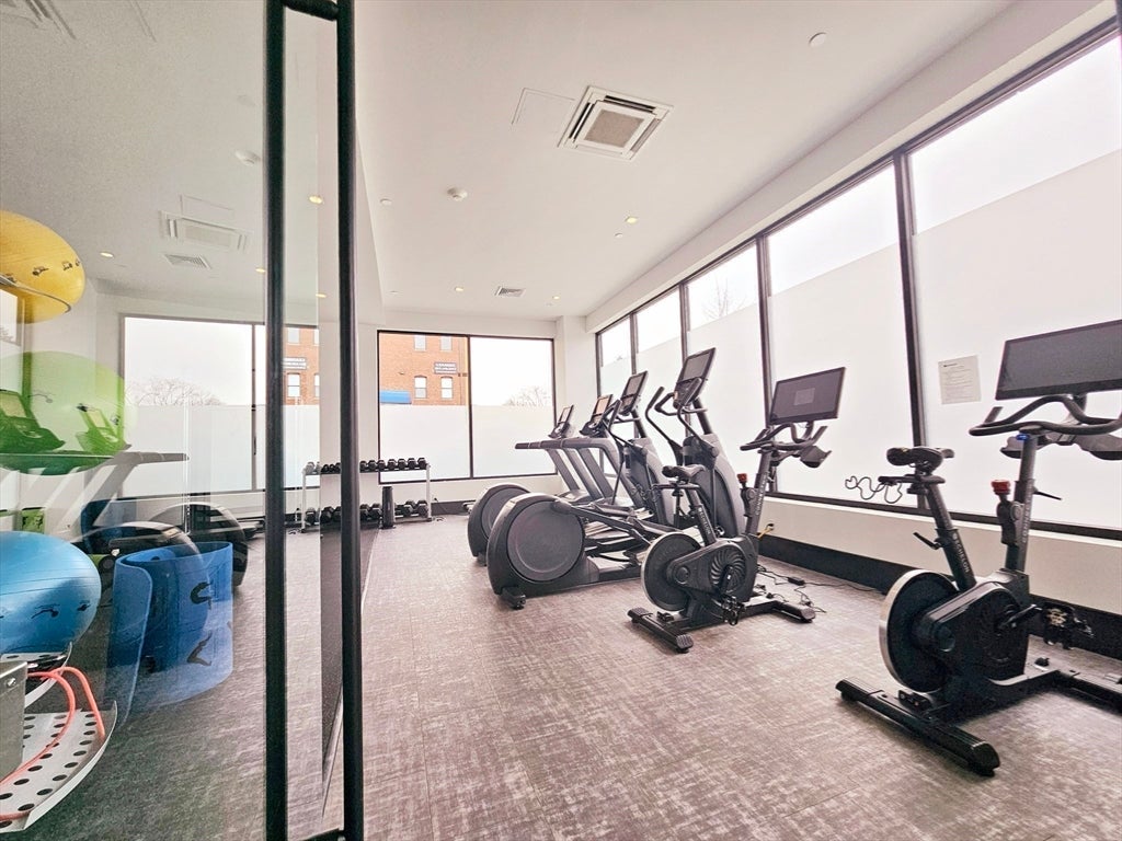 50 Leo M Birmingham PKWY #310, Boston, MA Photo #19