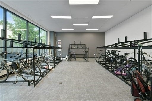 50 Leo M Birmingham PKWY #310, Boston, MA Photo #21