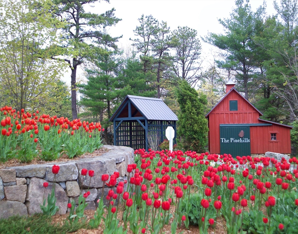 23 Woodsong, Plymouth, MA Photo #35
