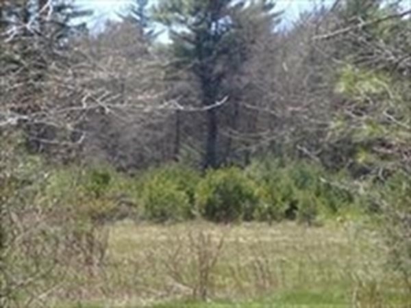 425 A Wareham Street