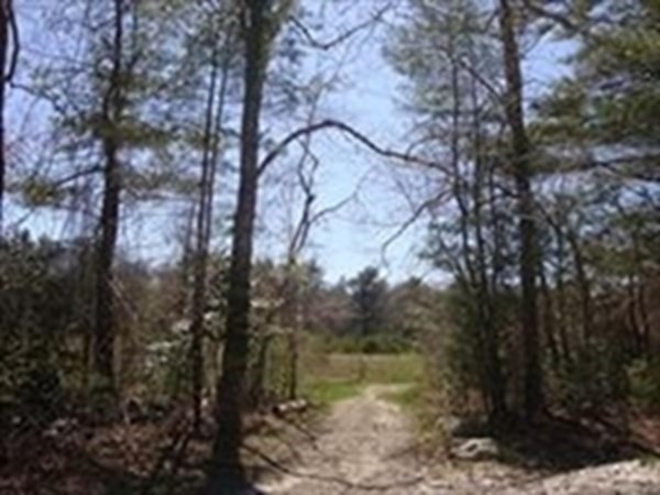 425 A Wareham Street