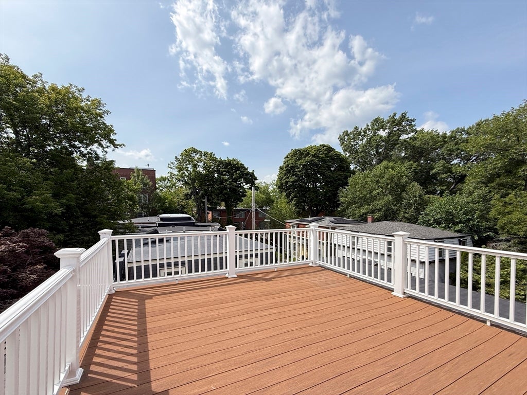 35 Willard St, Cambridge, MA, 35 Willard St, Cambridge, MA Photo #20