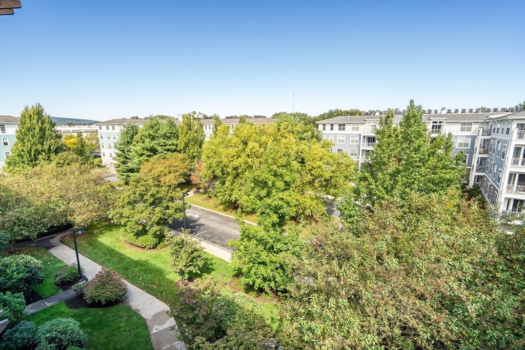 3 Repton Cir 3401