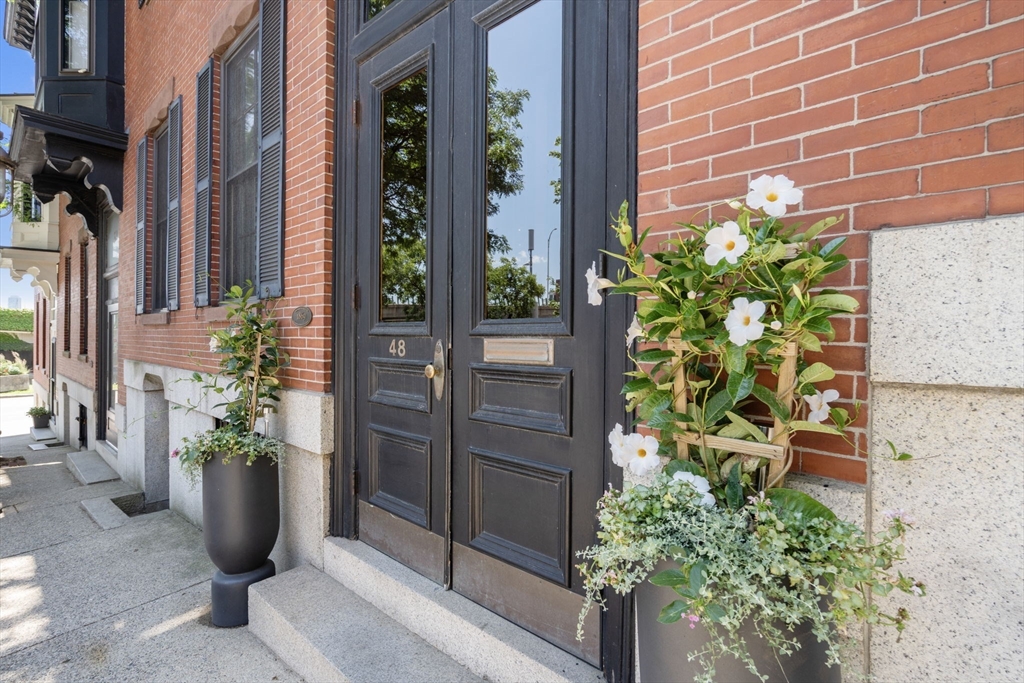 48 Mount Vernon Street 3