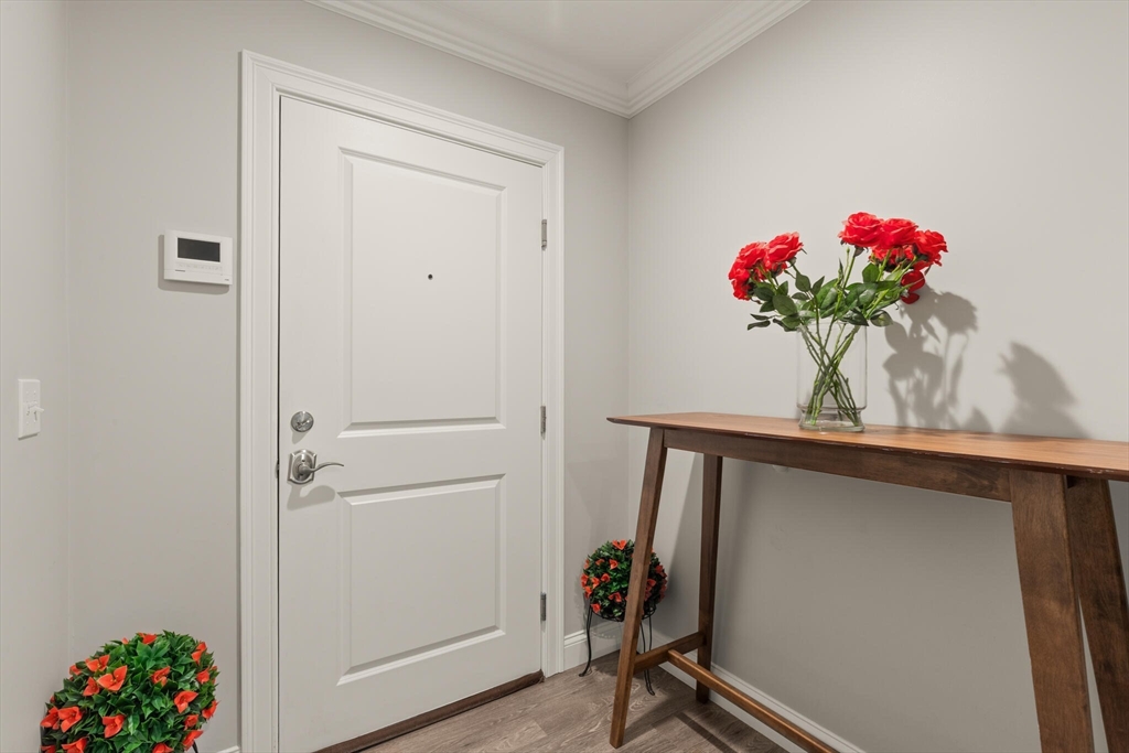 181 South Franklin St. 102