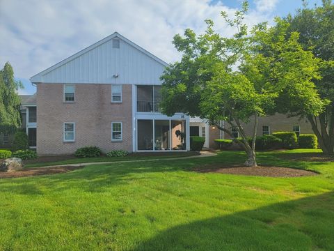 16 Jessica B Stoughton MA 02072