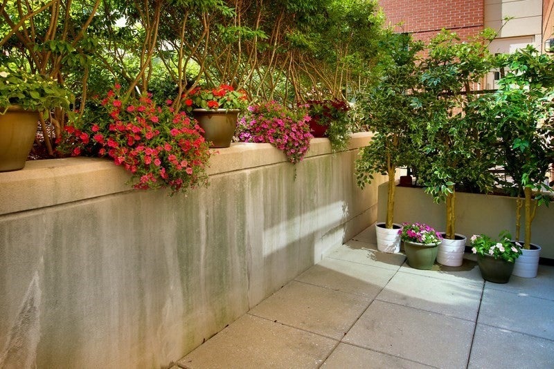 17 Otis St #104, Cambridge, MA, 17 Otis St #104, Cambridge, MA Photo #7
