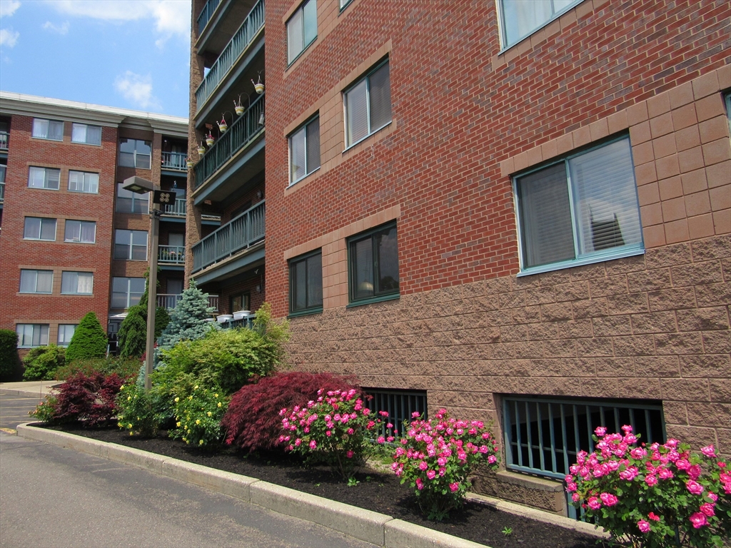 50 S Common St 311