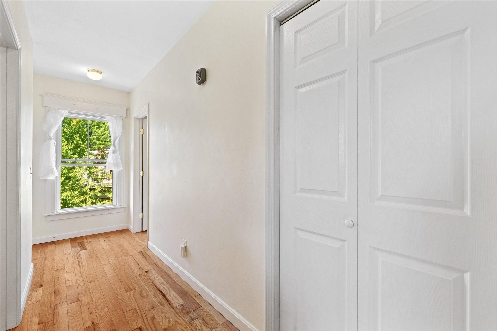 16 West Street #3, Worcester, MA, 16 West Street #3, Worcester, MA Photo #17