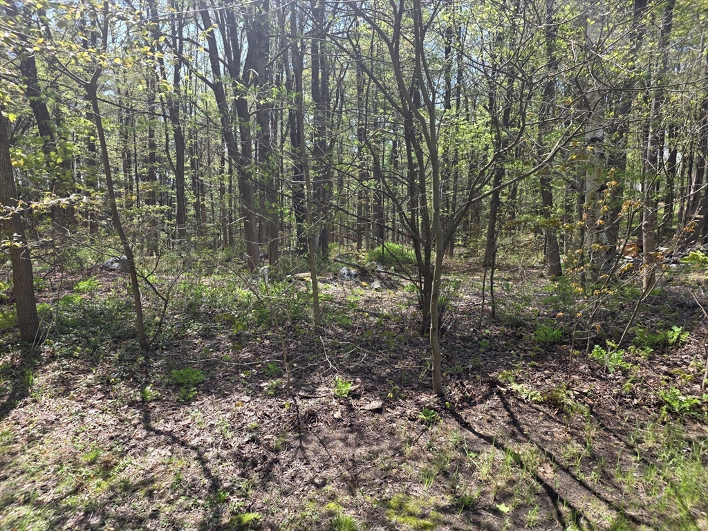 Photo 1 of 4 — Lot 1 Winter St, Orange, MA 01364