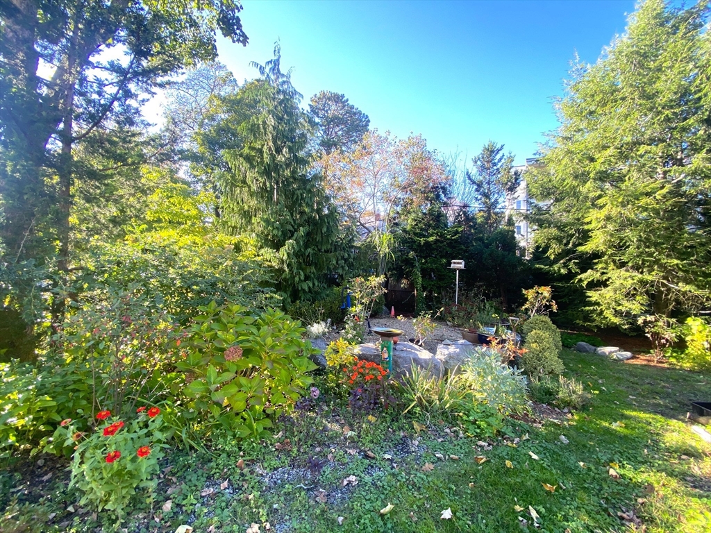 126 Sycamore Street 1