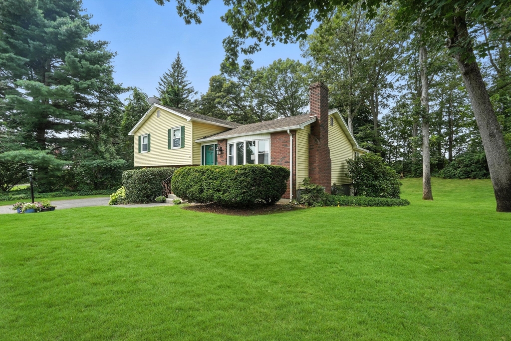 88 Basil Rd