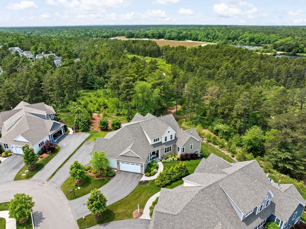 54 Sunflower Way