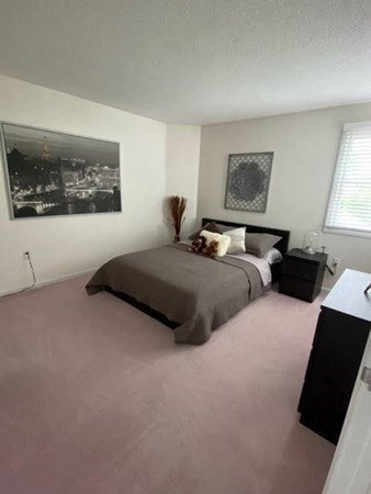 10 Merganser Way #10, Walpole, MA, 10 Merganser Way #10, Walpole, MA Photo #31