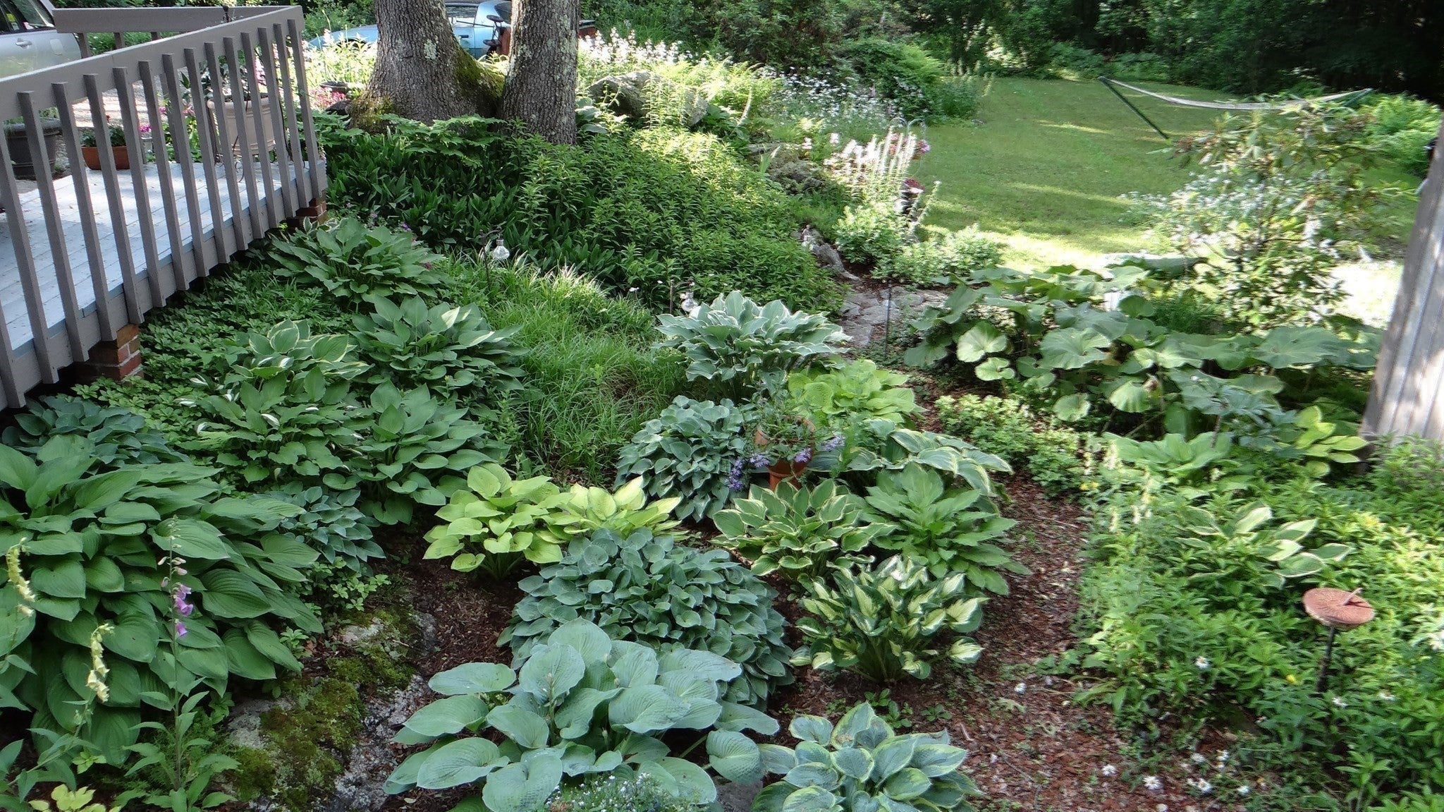 450 Glendale Rd, Wilbraham, MA Photo #37