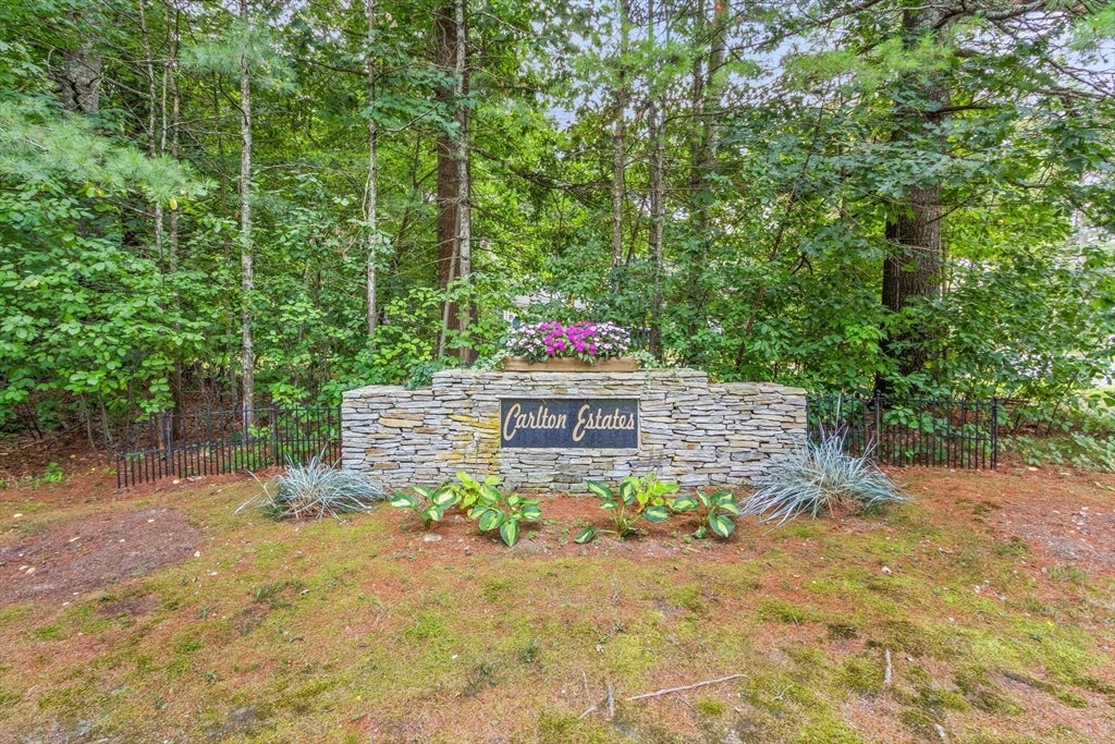 9 Douglas Dr, Mansfield, MA Photo #41