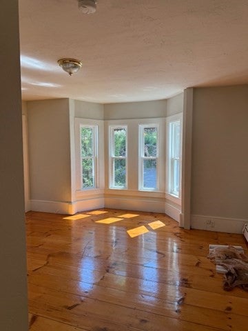 14 Lawton Street A