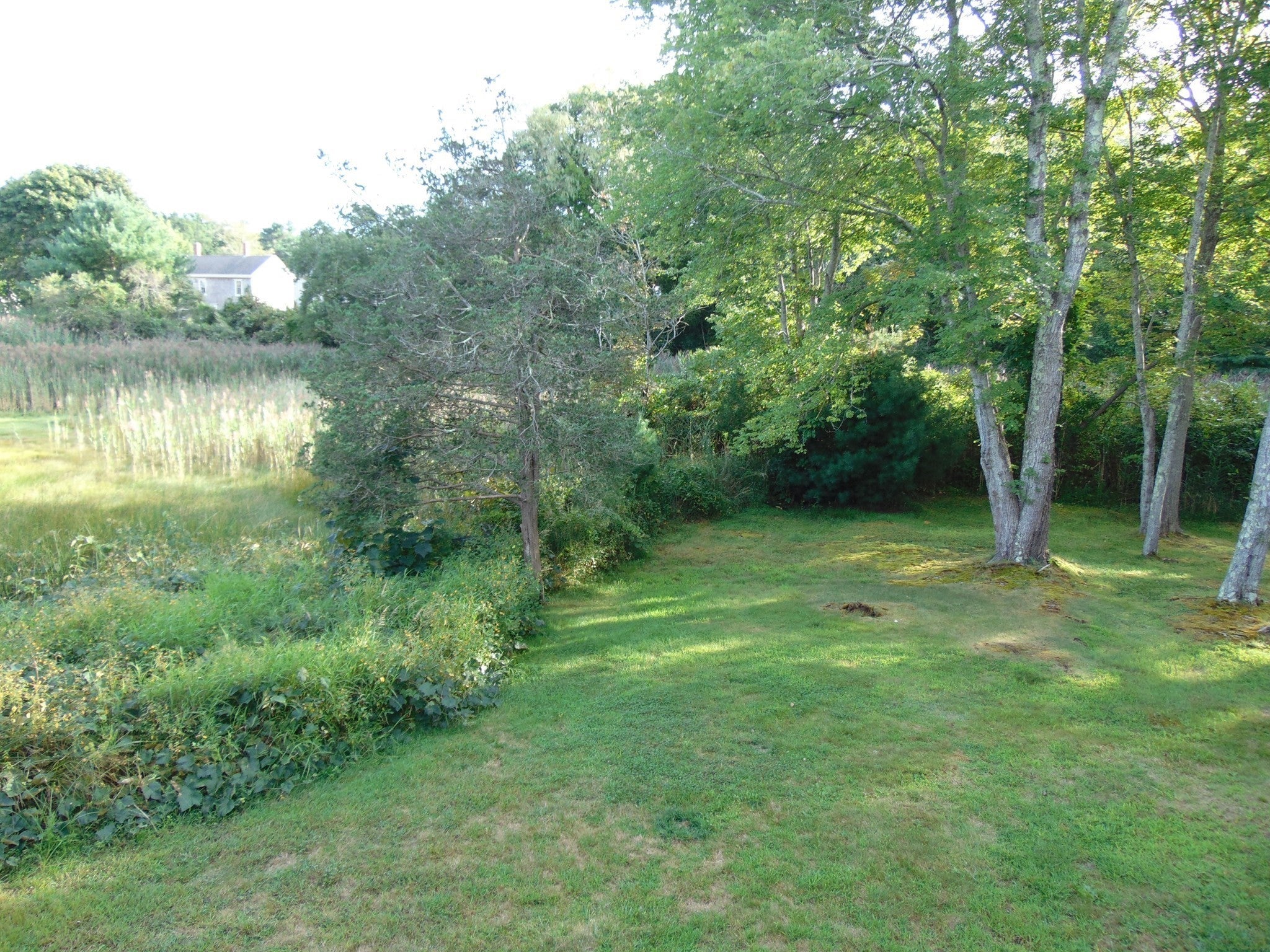 14 Coves End Rd, Marion, MA Photo #36