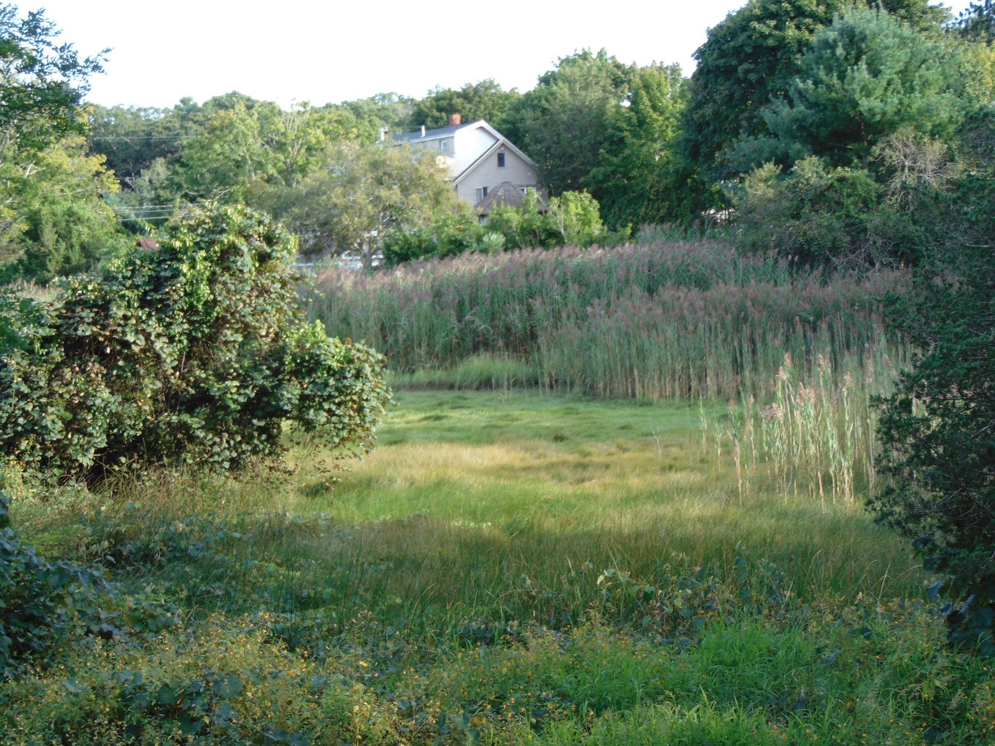 14 Coves End Rd, Marion, MA Photo #37