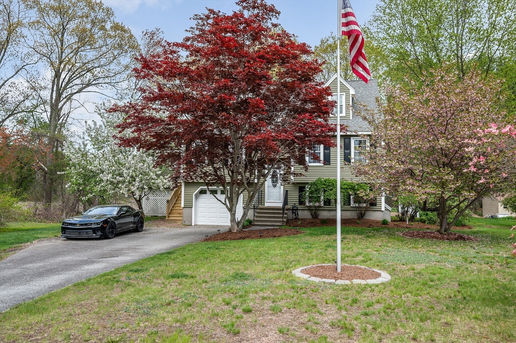 71 Mollie Drive