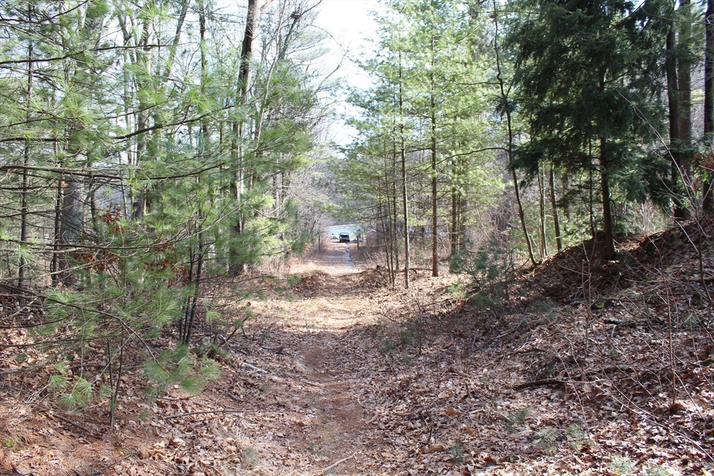 Lot 14 Center Street