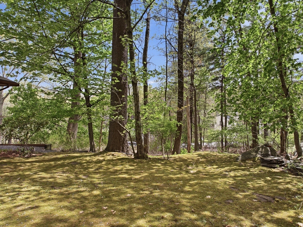 32 Hayden Lane, Bedford, MA Photo #30