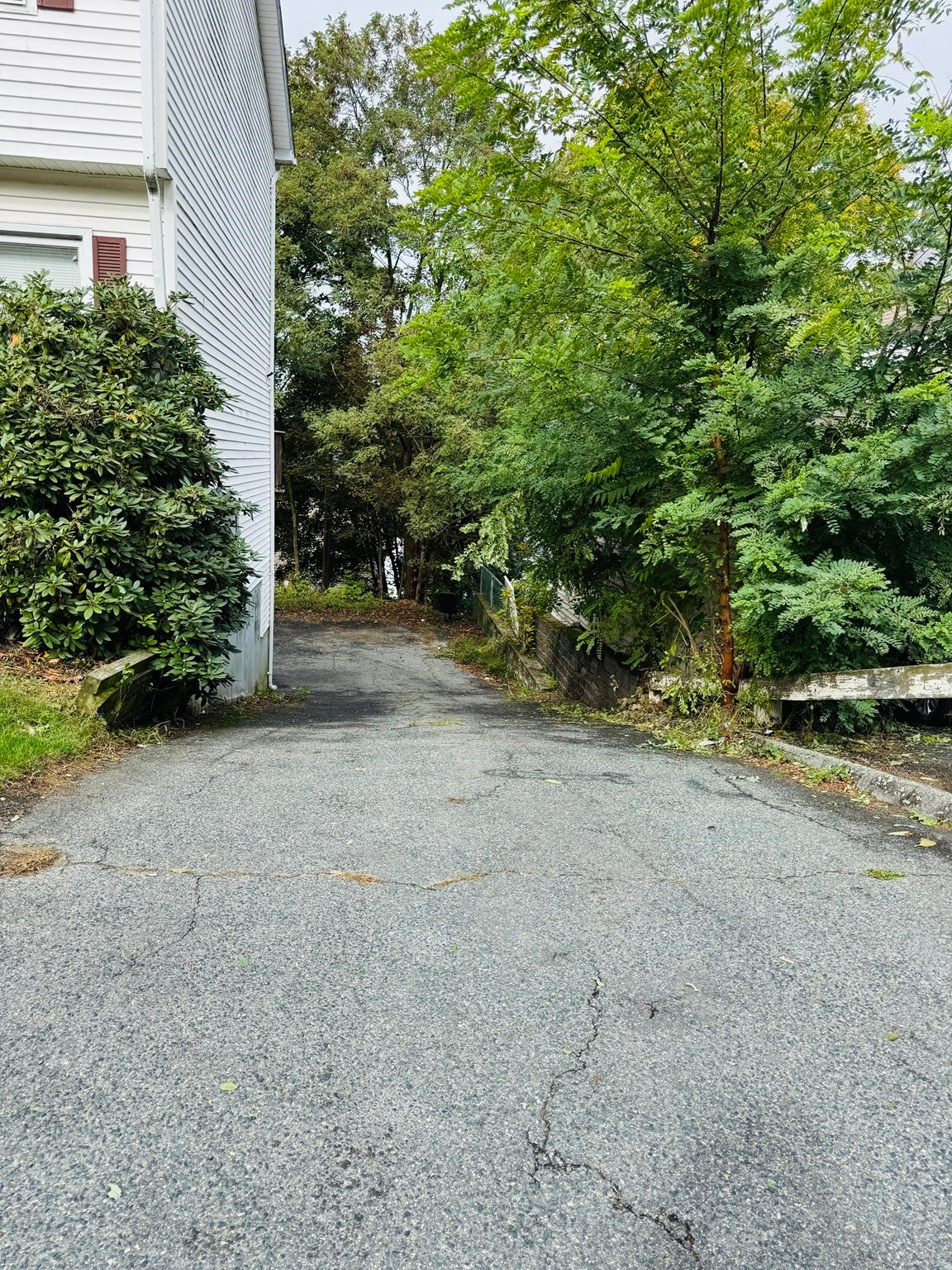 67 Everard St, Worcester, MA Photo #21