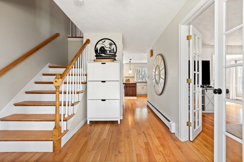 44 Proctor St