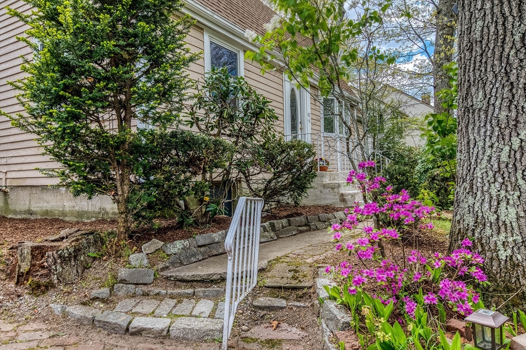 42 Stoughton Rd, Dedham, MA Photo #4