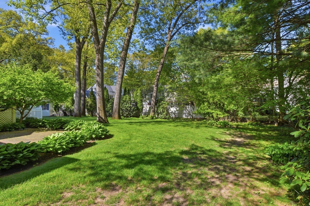 38 Oxford Road, Longmeadow, MA Photo #35