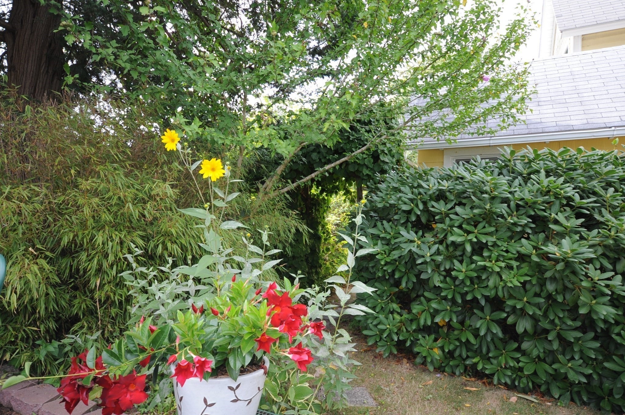48 Highland Ave, Wareham, MA, 48 Highland Ave, Wareham, MA Photo #32