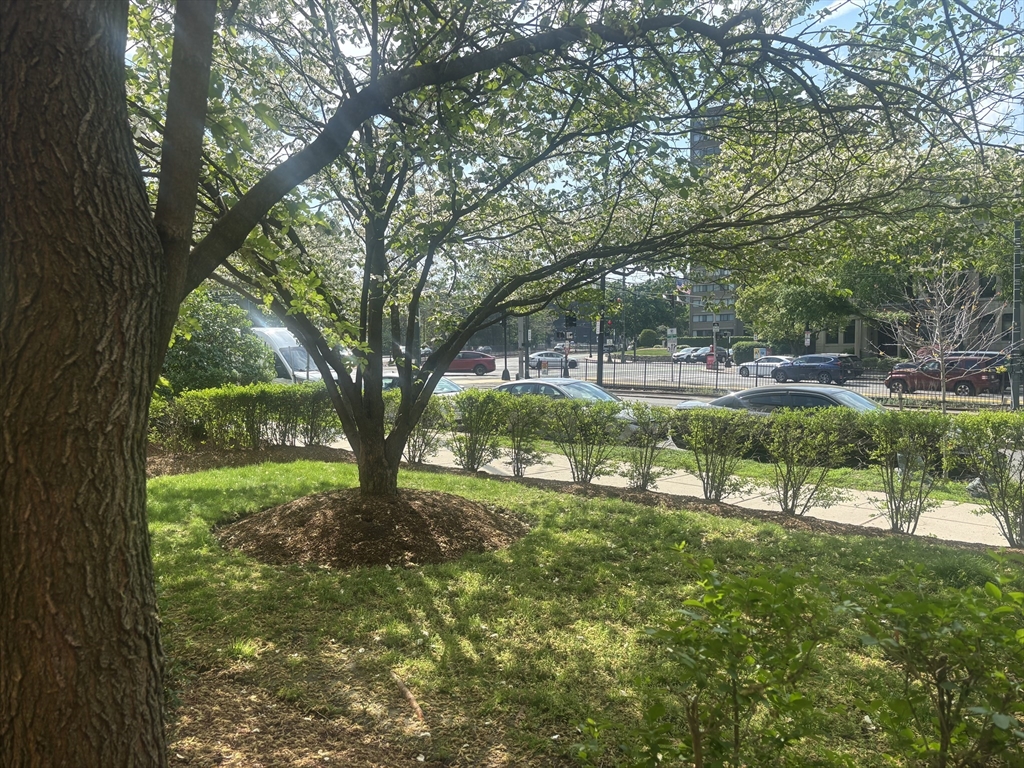 1872 Commonwealth Ave 15