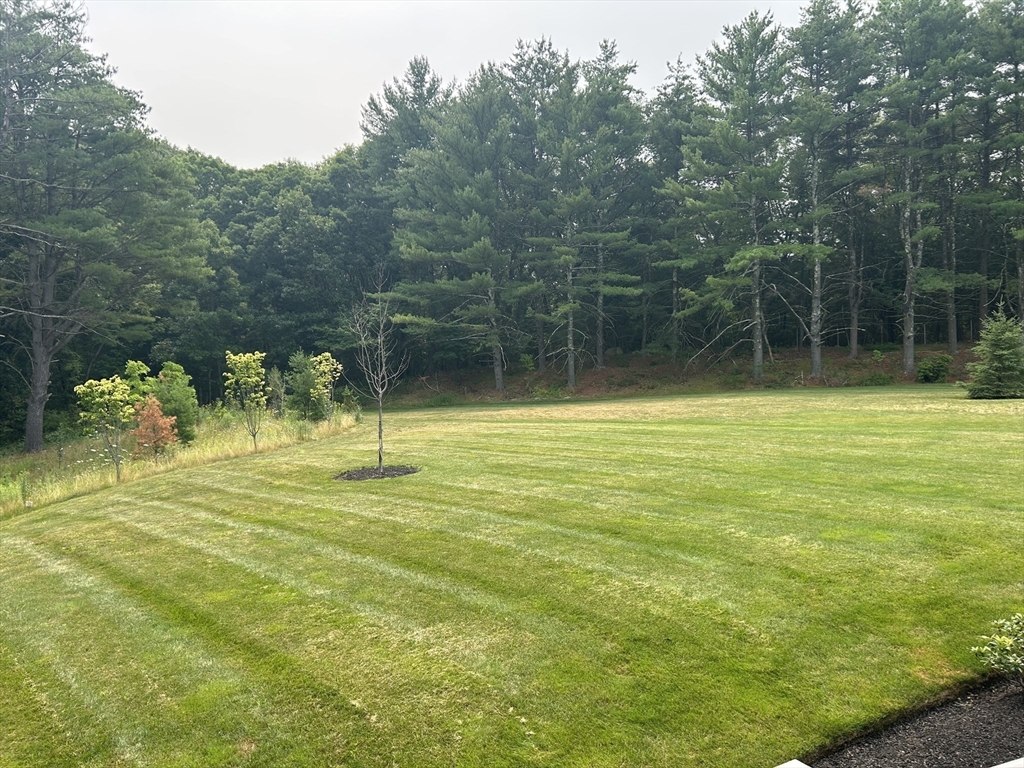 6 Lily Pond Ln #6, Lexington, MA, 6 Lily Pond Ln #6, Lexington, MA Photo #25