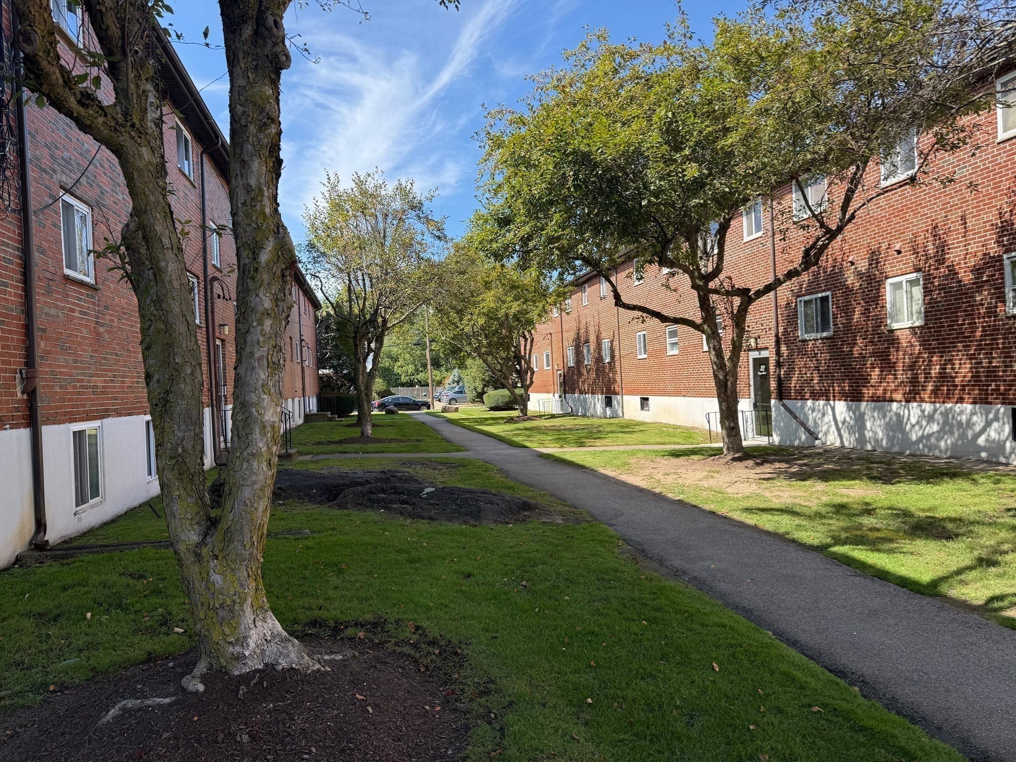 40 Bryon Rd #4, Boston, MA, 40 Bryon Rd #4, Boston, MA Photo #21